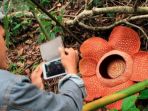 rafflesia-arnoldii_20170515_133404.jpg