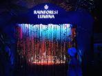 rainforest-lumina.jpg
