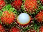 Fakta Menarik - Mengejutkan! Buah dari Indonesia Ini Malah Dianggap Aneh oleh Orang Barat