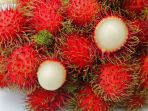 rambutan_20180309_095537.jpg