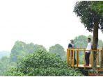ranggon-hills-bogor-3.jpg