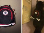 ransel_20170621_214005.jpg