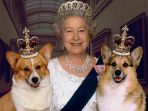 Angsa hingga Gajah, Ini Hewan yang Diterima Ratu Elizabeth II Dalam Kunjungan Negara ke Luar Negeri