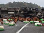 Konyol! Begini Jadinya Kalau Truk yang Mengangkut Ratusan Ayam Terguling di Jalan Tol