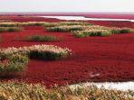 red-beach-di-panjin-china.jpg