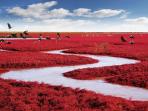 Red Beach China - Inilah Pantai yang Nggak Punya Ombak dan Pasir