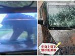 rekaman-beruang-hitam-naik-ke-kap-mobil.jpg