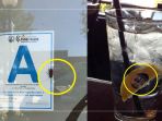 restoran-fail_20180827_202938.jpg