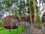 restoran-lutung-kasarung_20160804_085303.jpg