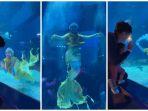 riaricis1795-123-aquarium.jpg