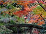 rikugien-garden-tokyo-jepang.jpg