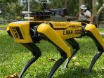robot-spot-di-singapura.jpg