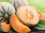 rock-melon_20180308_151646.jpg