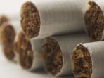 rokok_20160819_194839.jpg