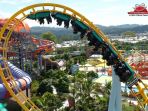 roller-coaster_20180323_095533.jpg