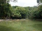 rowo-bayu-banyuwangi.jpg