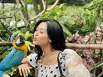 royal-safari-garden-3.jpg