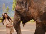 royal-safari-garden-gambar-1.jpg