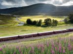 royal-scotsman_20170628_141048.jpg