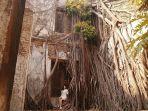 rumah-akar-jakarta-img.jpg