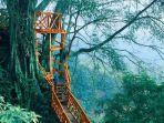 rumah-pohon-di-curug-ciherang-untuk-liburan-akhir-pekan.jpg