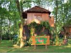 rumah-pohon-leo_20160807_215541.jpg