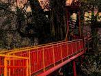 rumah-pohon-satu-spot-instagramable-di-curug-ciherang.jpg