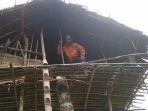 rumah-pohon-suku-korowai.jpg