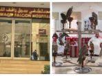 rumah-sakit-souq-waqif-falcon.jpg