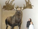 rusa-raksasa_20170831_133540.jpg