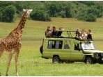 safari-di-afrika_20180331_093352.jpg