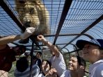 safari-lion-zoo_20180126_101337.jpg