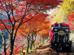 sagano-scenic-railway_20180906_170234.jpg
