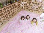 sakura-chill-bar.jpg