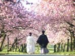 sakura-couple_20180324_194239.jpg