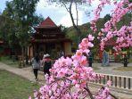 sakura-hills-sabtu-21122019.jpg