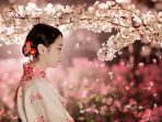 sakura-jepang_20170303_155727.jpg