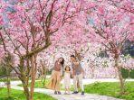 sakura-park-minimania-lembang.jpg