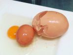salah-satu-peternakan-di-australis-menemukan-telur-beranak_20180307_195827.jpg