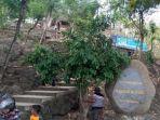 salah-satu-spot-di-kawsan-gunung-budheg-tulungagung.jpg