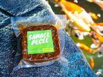 sambal-pecel-saqurma.jpg