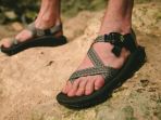sandal-gunung_20181030_102534.jpg