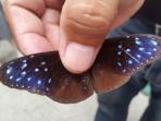 sanfu-leisure-farm-taiwan_20160918_143312.jpg