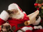 santa-claus_20161214_122428.jpg