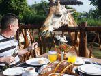 sarapan-bareng-jerapa-di-taman-safari-prigen.jpg