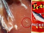 sarden-mackerel_20180330_090122.jpg