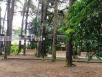 satu-sudut-di-hutan-pinus-mentaos.jpg