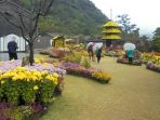 satu-sudut-taman-bunga-sengan-en-kagoshima-di-pulau-kyushu-jepang_20180307_162218.jpg