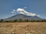 savana-bekol-di-tn-baluran_20171001_221418.jpg