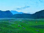 savana-propok-1.jpg